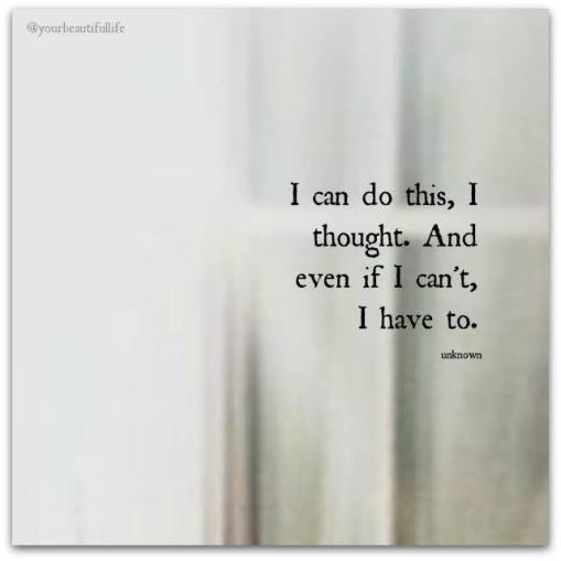 29694442_10216268597775784_2959131741370974208_n (1)